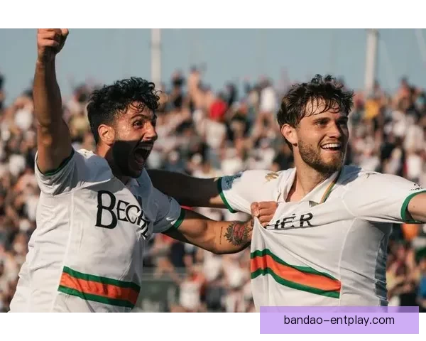 帕尔马击败特尔纳纳 拉博庆祝进球称在球迷面前拿下三分更有意义